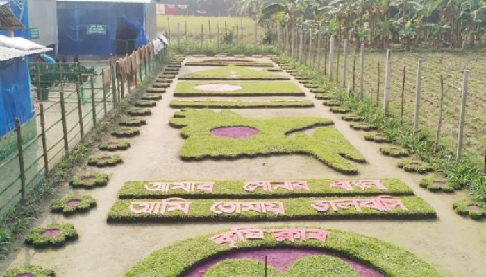 এবার ঘাস দিয়ে আঁকা হলো মানচিত্র-পতাকা-স্মৃতিসৌধ