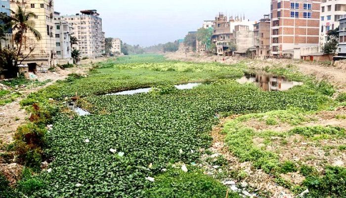 দখল দূষণে অস্তিত্ব হারাচ্ছে কুষ্টিয়ার ৮ নদী