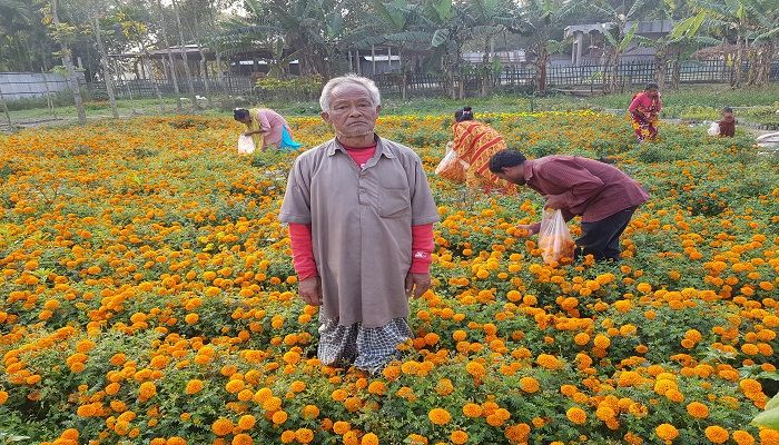 নার্সারিতে অনুর সাফল্য ও হতাশা