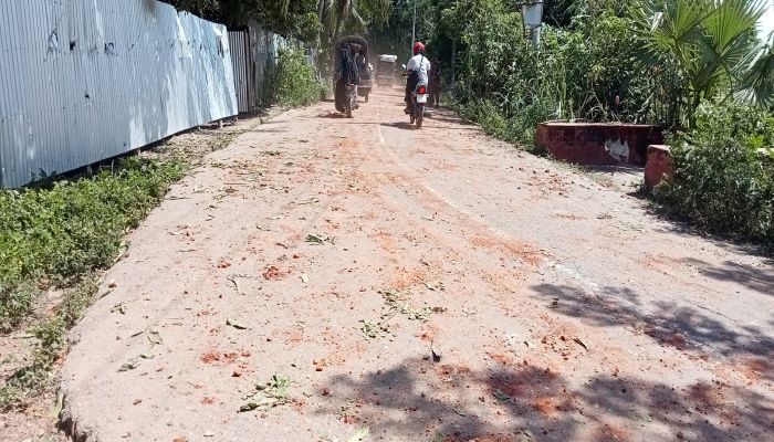 সালথায় আ.লীগের দুই পক্ষের সংঘর্ষ; আহত অর্ধশতাধিক