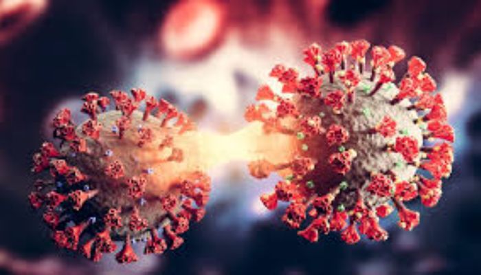 করোনার নতুন উপধরন: সুরক্ষিত থাকতে যা করবেন