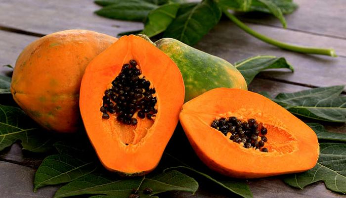 রোগ প্রতিরোধী ফল পেঁপে