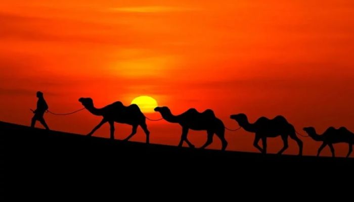 যে আমলকে লাল উটের চেয়ে মূল্যবান বলেছেন নবিজি (স.)