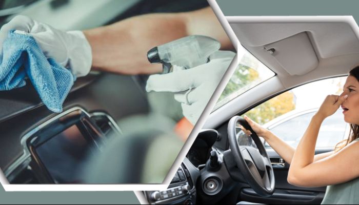 গাড়ির ভ্যাপসা গন্ধ দূর করার সহজ কয়েকটি উপায়