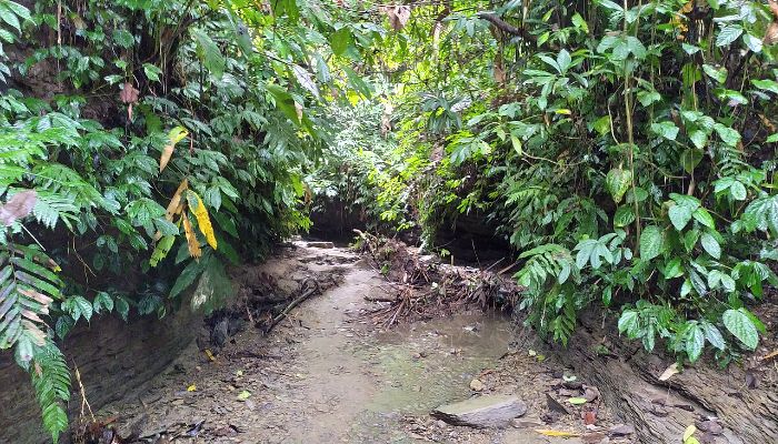 আলীর সুড়ঙ্গ রহস্যময় পর্যটন কেন্দ্র