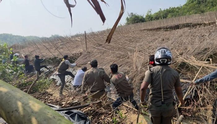 দখলদারদের রাজত্বে বন বিভাগের হানা, কৃষকদের পানের বরজ ও সুপারি বাগান ধ্বংস করে সমালোচনার মুখে বন বিভাগ 