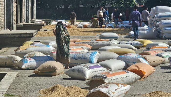 সিলেট অঞ্চলে কেনা হবে ৩ হাজার ৫৮ মেট্রিক টন ধান ও ৩৫ হাজার ৮০৪ মেট্রিক টন চাল
