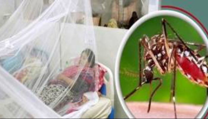 সিলেটে দিন দিন বাড়ছে ডেঙ্গুর প্রকোপ