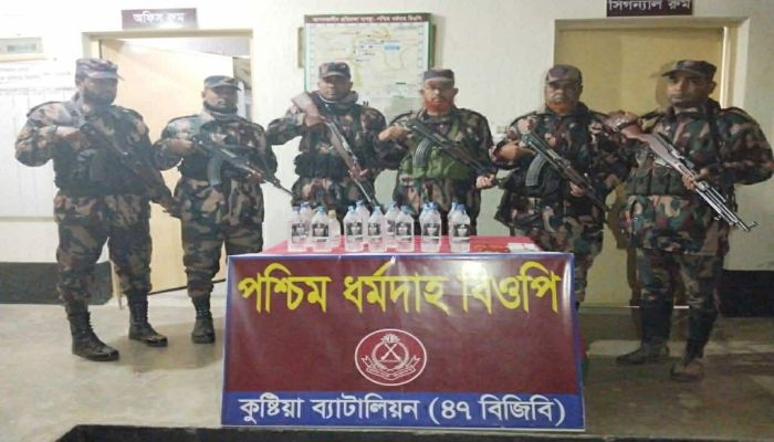 দৌলতপুর সীমান্তে বিজিবির অভিযান, ইয়াবাসহ চোরাকারবারি আটক