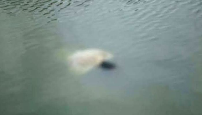 দিঘিতে ভাসমান অবস্থায় মিলল মানসিক প্রতিবন্ধী যুবকের মরদেহ