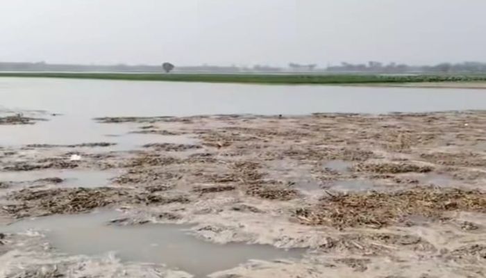 নীলফামারীতে তিস্তা সেচ ক্যানেলের বাঁধ ভেঙে শতাধিক একর ফসলি জমি পানির নিচে