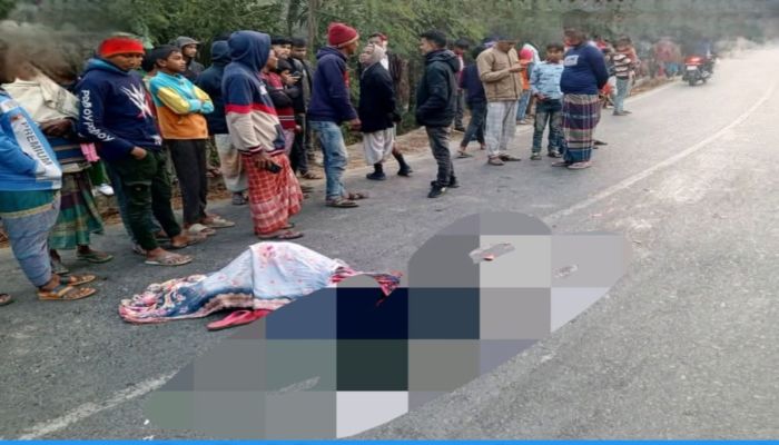 নীলফামারীর জলঢাকায় ট্রাক–অটোরিকশা মুখোমুখি সংঘর্ষে নিহত ১, আহত ২