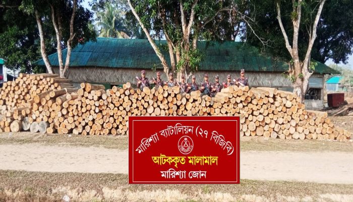 বাঘাইছড়িতে বিজিবির অভিযানে অবৈধ সেগুন কাঠ জব্দ 