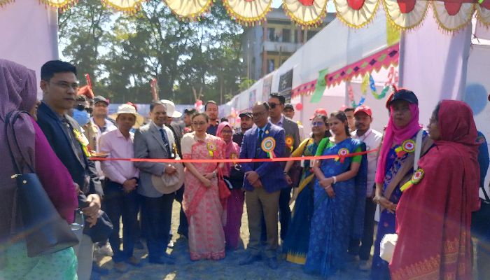 গাছবাড়িয়া সরকারি কলেজে  শুরু হলো দুই দিনব্যাপী ঐতিহ্যবাহী পিঠা উৎসব