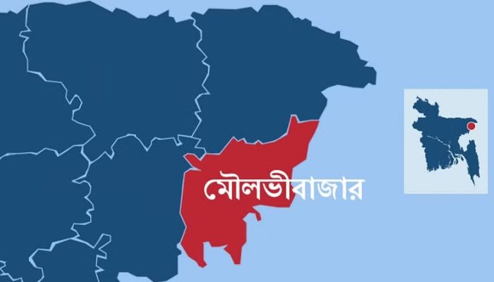 মৌলভীবাজারে জোটের একাধিক প্রার্থী সহ চারটি আসনে ১৪ প্রার্থীর জামানত বাজেয়াপ্ত