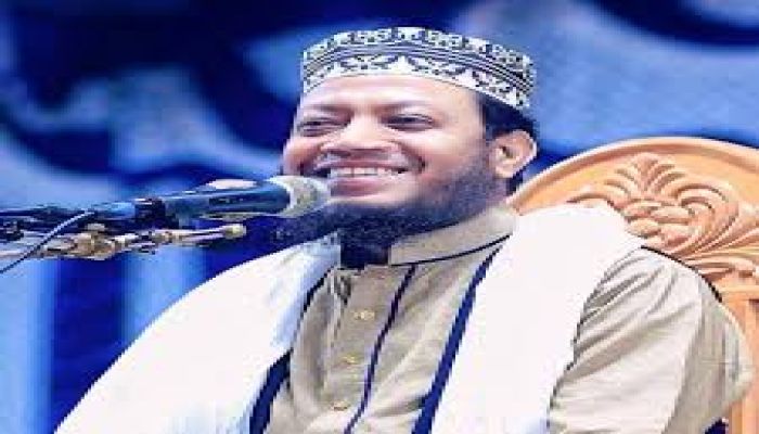 কুষ্টিয়া-৩ আসনে এগিয়ে আমির হামজা