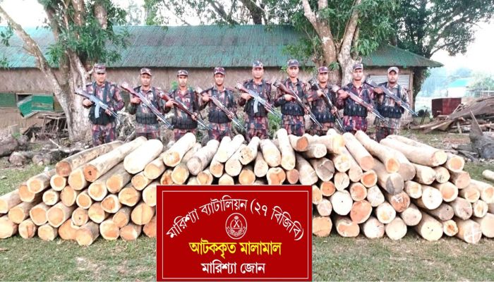 বাঘাইছড়িতে বিজিবির অভিযানে অবৈধ সেগুন কাঠ জব্দ।