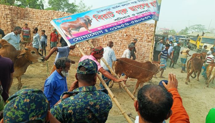 লোহাগড়ায় বিএনপির আয়োজনে দোয়া ও ইফতার মাহফিল অনুষ্ঠিত 