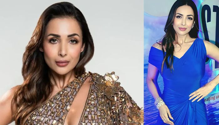 ফের প্রেম গুঞ্জনে মালাইকা