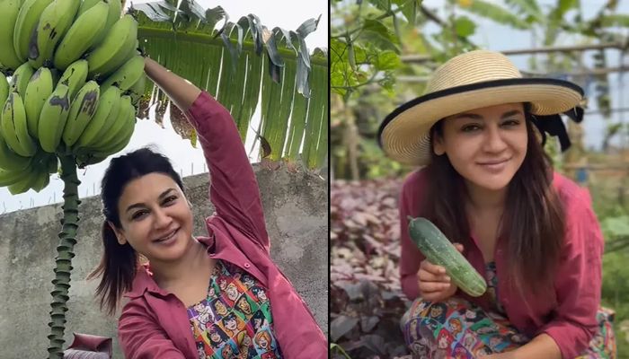 শসা-কলা চাষে উচ্ছ্বাস প্রকাশ জয়ার