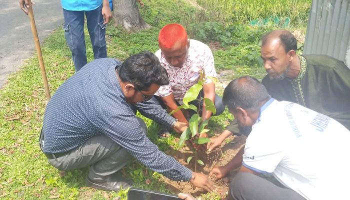 বিশ্ব পৃথিবী দিবসে শেরপুরের ঝিনাইগাতীতে  বৃক্ষরোপণ:শিক্ষার্থী-স্বেচ্ছাসেবীদের সবুজের প্রত্যয়