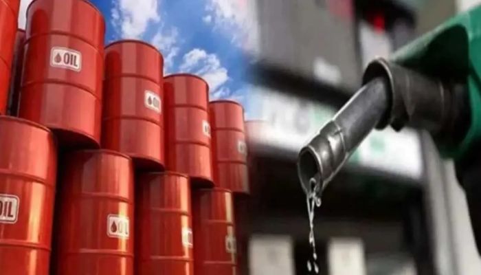  পেট্রোল-অকটেনে কতদিন চলবে, জানাল জ্বালানি বিভাগ