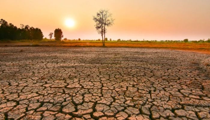 গ্রীষ্মে আসছে ১৪০ বছরের মধ্যে সবচেয়ে শক্তিশালী ‘এল নিনো’!