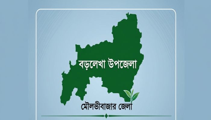 বড়লেখায় ১ কেজি গাঁজাসহ  গ্রেপ্তার ৬