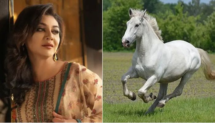ঘোড়ার মাংস নিয়ে হাইকোর্টে জয়া আহসানের রিট