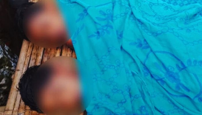 নীলফামারীতে পুকুরে ডুবে দুই শিশুর মৃত্যু