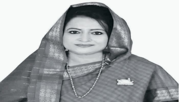 কুমিল্লা-০২ আসনের সাবেক সংসদ সদস্য সেলিমা আহমাদ মেরী আর নেই