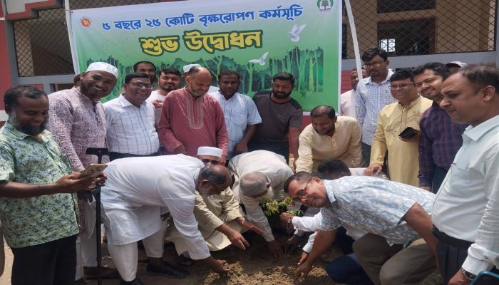 মিঠাপুকুরে বৃক্ষরোপণ কর্মসূচি পালিত