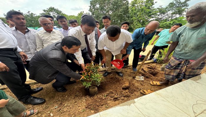 মাটিরাঙ্গা সরকারি ডিগ্রি কলেজে কাঠ ব্যবসায়ী সমিতির উদ্যোগে বৃক্ষরোপণ কর্মসূচি