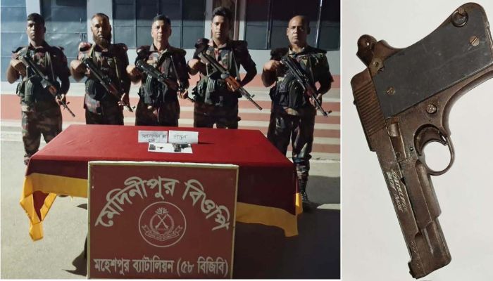 জীবননগরে পরিত্যক্ত বিদেশি পিস্তল ও গুলি উদ্ধার