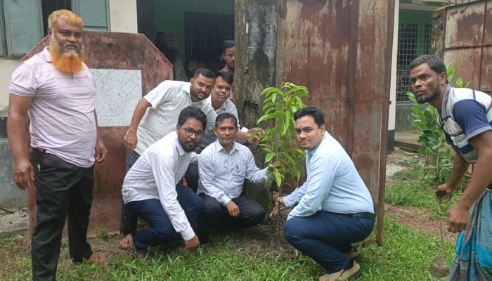 দুমকির ৬১ শিক্ষা প্রতিষ্ঠানে বৃক্ষরোপণ কর্মসূচি শুরু