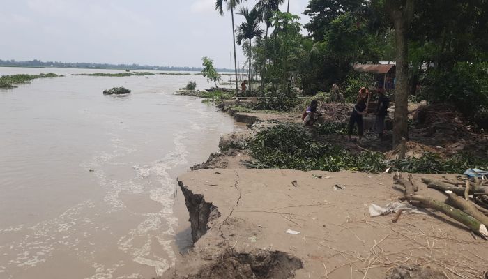 বন্যার পানি কমতেই কুড়িগ্রামে ভয়াবহ আকার নিয়েছে নদীভাঙন 