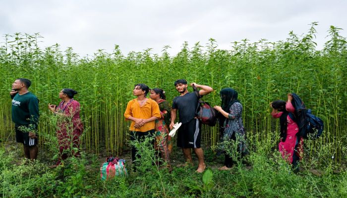কুষ্টিয়া সীমান্তে বিএসএফের পুশইন চেষ্টা, রুখে দিল বিজিবি