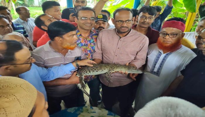 ভালুকায় মৎস ও প্রাণীসম্পদ খাতে সম্ভবনার বার্তা প্রতিমন্ত্রী টুকুর