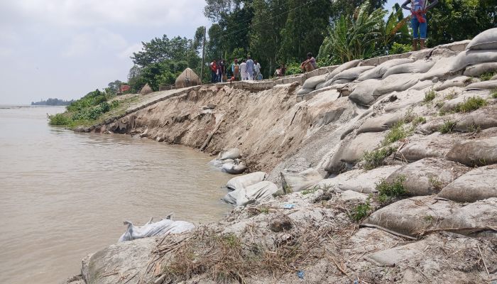 কুড়িগ্রামে ৪৪৮ কোটি টাকার তীররক্ষা বাঁধে আবার ধস, বাড়ছে ভাঙন-আতঙ্ক