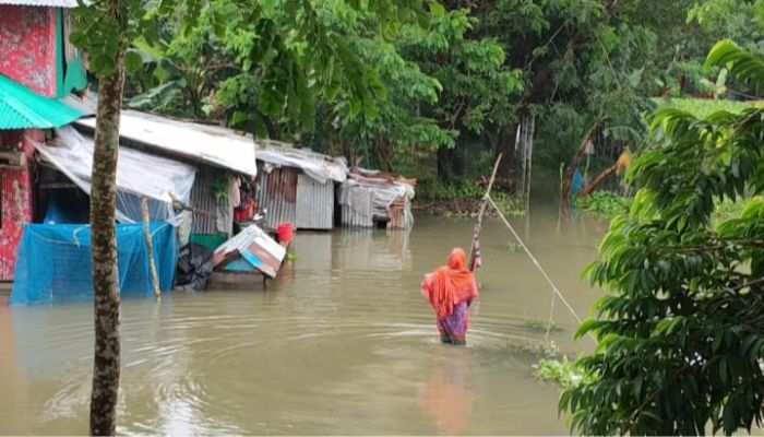 টানা ভারী বর্ষণে  জনজীবন বিপর্যস্ত,কৃষি ও মৎস্য খাতে প্রাথমিক ক্ষতি ৫ কোটির বেশি