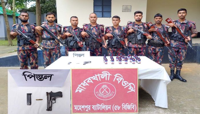 জীবননগর সীমান্তে বিদেশি পিস্তল, গুলি-এস্কাফ উদ্ধার 