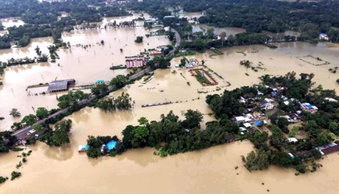 চট্টগ্রামে বন্যায় মৎস্যখাতে ক্ষতি ৯১ কোটি টাকা