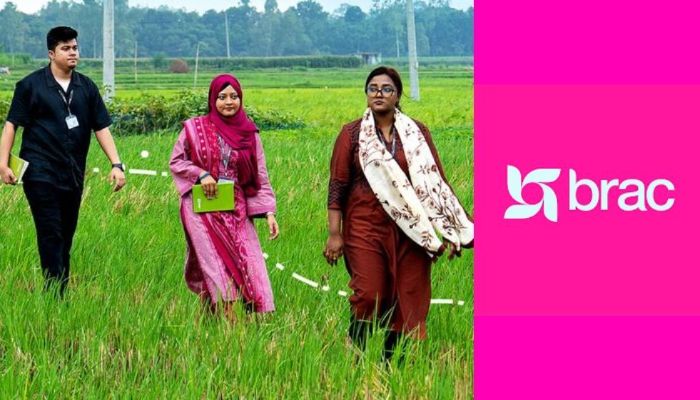 এইচএসসি পাশে নিয়োগ দেবে ব্র্যাক, থাকছে আবাসন সুবিধা