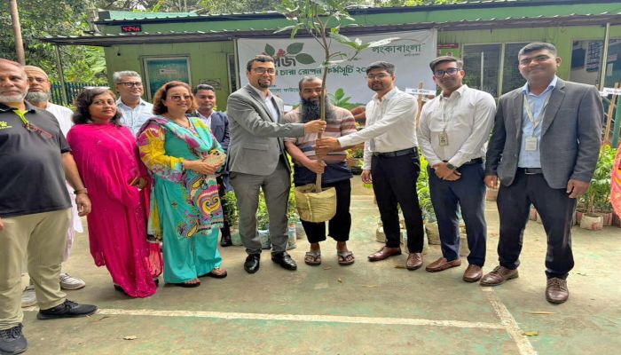 লংকাবাংলা ফাউন্ডেশনের উদ্যোগে ফলজ বৃক্ষের চারা রোপণ কর্মসূচি অনুষ্ঠিত