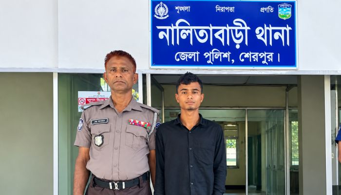 স্বর্ণালঙ্কার ও টাকা চুরি ঘিরে ধোঁয়াশা, গ্রেপ্তার সোহান